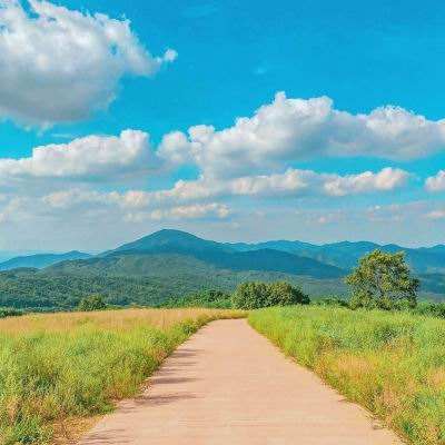 kok最新客户端下载手机版