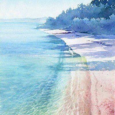 im电竞官方官网手机app下载