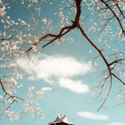 皇冠新体育APP手机app下载