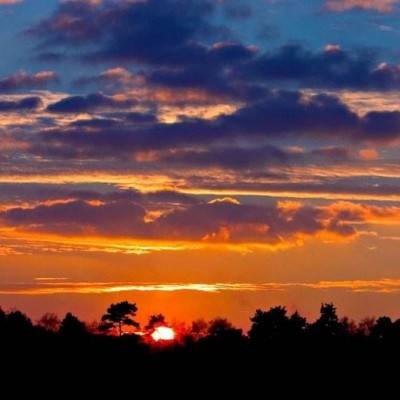 BO半岛综合app安全下载app下载